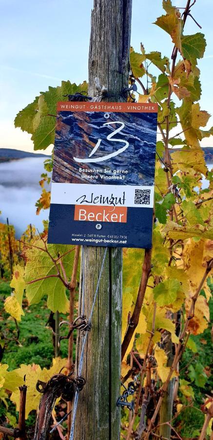 Weingut U. Gaestehaus Becker Platten Exterior foto